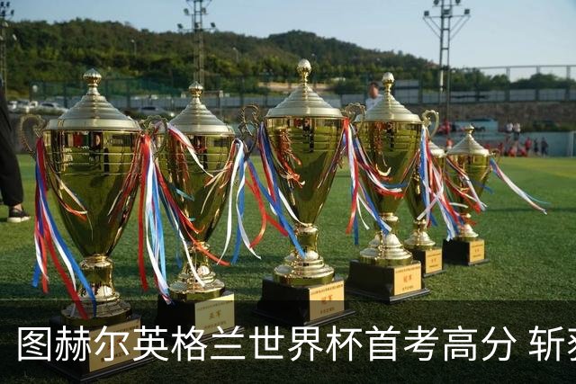图赫尔英格兰世界杯首考高分 斩获7次绝佳机会22射11正